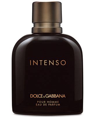 intenso dolce and gabbana macy's.